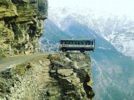 Himachal Roadways